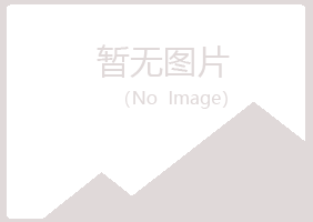 鹤岗南山向彤美容有限公司